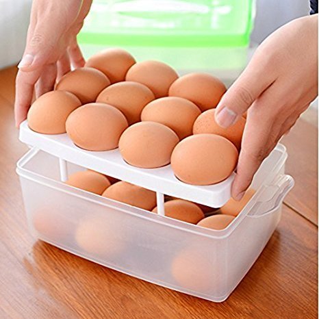 Double Layer Plastic 32 Egg Storage Box