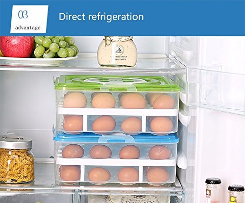 Double Layer Plastic 32 Egg Storage Box