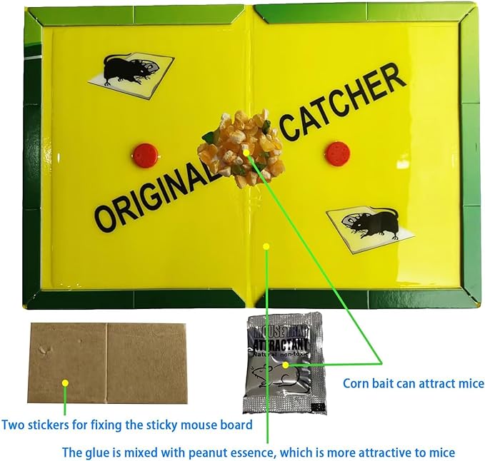 Mouse Glue Traps Expert Catch