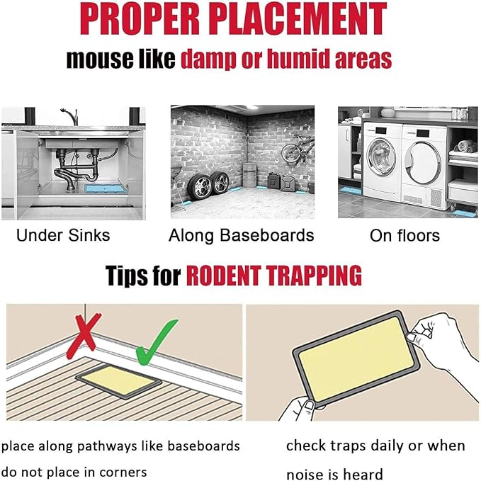 Mouse Glue Traps Expert Catch